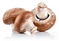 香菇的功效与作用，常吃香菇能够提高抵抗力