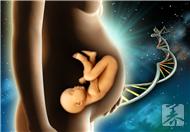 怎样预防胎儿停止发育？想要避免胎停孕期就要开始准备