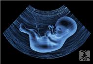 胎动频繁是什么感觉?两情况最常见