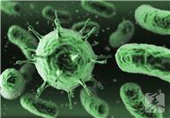 婴儿巨细胞病毒感染怎么办？要从预防抓起！