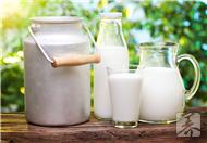 香醇浓厚的牛奶具有补血的功效？