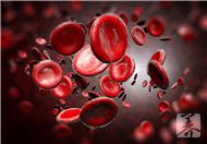 红细胞再生障碍性贫血怎么治?教你四方法