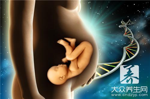 胎儿在肚子里的姿势