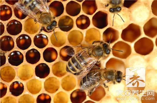 什么是蜂胶?