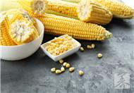 玉米地瓜减肥法，排毒又减肥