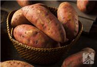 红薯怎么吃减肥，减肥食谱吃出来