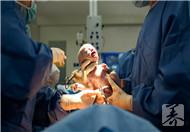 头胎剖腹产二胎剖腹产有危险性，必知四危害
