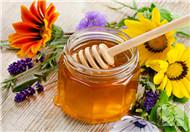 白醋和蜂蜜减肥有效吗