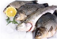 孕妇吃什么鱼好 多吃6种鱼有益健康