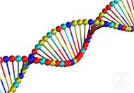 什么是遗传，遗传有什么特点？