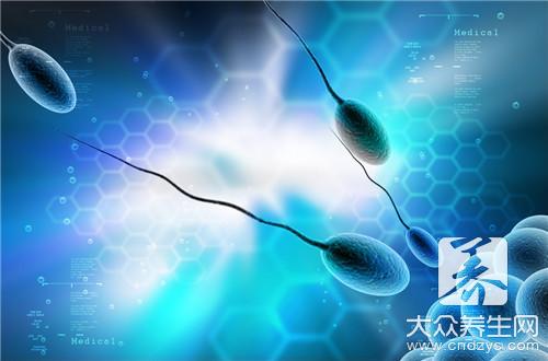 所谓的精子分离法其目的主要是将活动的精子与不活动的精子分开。