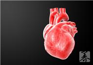 心脏杂音危害身心健康，积极治疗最靠谱！