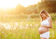 孕中期(13~28周)重点要做哪些检查?