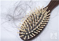 治疗掉头发的土方法，用这三种效果最理想