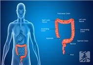 直肠中度前突的危害有哪些？如何治疗？