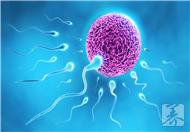 尼古丁对精子的危害有哪些？