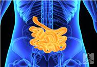 肠梗堵是怎么引起的?这些原因你须知