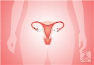 子宮內膜異位症可以懷孕嗎
