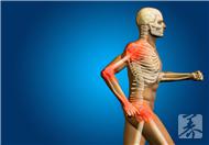 骨质疏松与骨质增生的区别是什么？如何治疗？