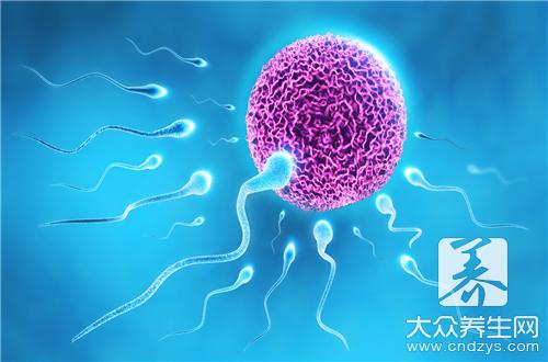 精子着床后早孕症状经验谈——大众养生网