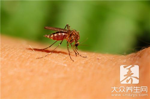 别让可恶的蚊子影响了宝宝的健康---大众养生网