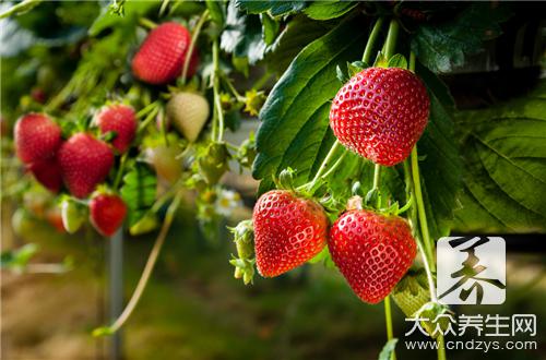 草莓营养丰富含有很多维生素