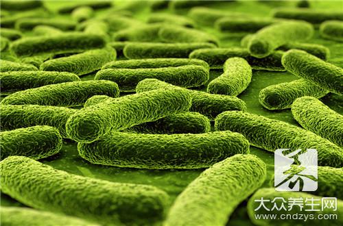 肉毒杆菌是什么细菌