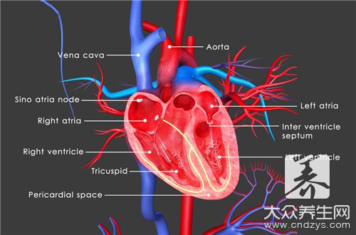 先天性心脏瓣膜缺损的治疗方法有哪些