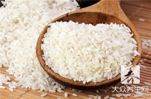 大米稀饭的做法