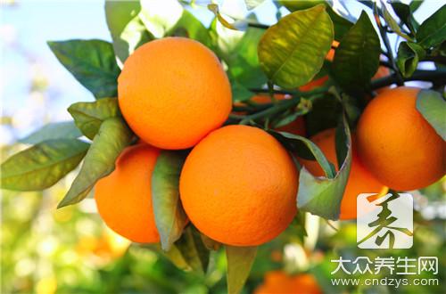 柑橘止咳化痰助消化-大众养生网