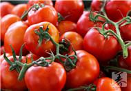 西红柿不光好吃还能治疗一些疾病
