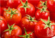 番茄红素能壮阳吗?吃番茄需注意什么