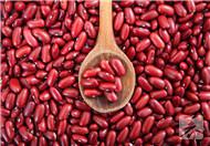 吃红豆补血吗，红豆有哪些功效？