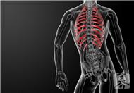 肋軟骨炎的治療藥物有哪些 揭曉治肋軟骨炎的幾種藥