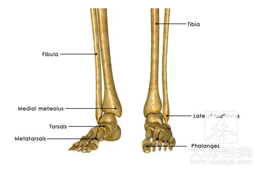 脚踝粉碎性骨折后遗症是什么