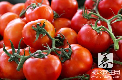 西红柿不能和什么同食？