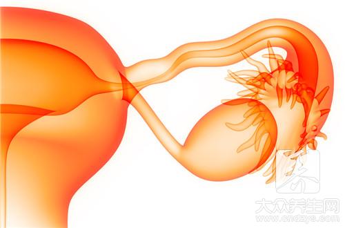 子宫内膜是什么东西