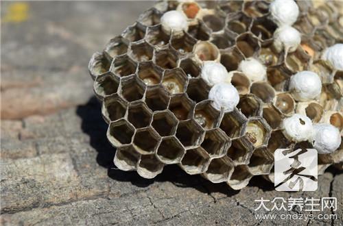蜂巢蜜里的蜂蜡能吃吗