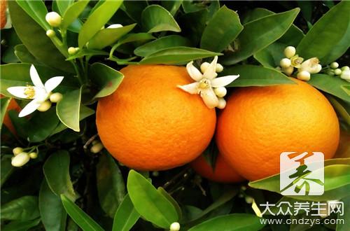 橘子营养的全面分析-大众养生网