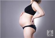 怀孕初期安胎食谱有哪些