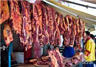 牦牛肉的做法，牦牛肉的营养功效有哪些？
