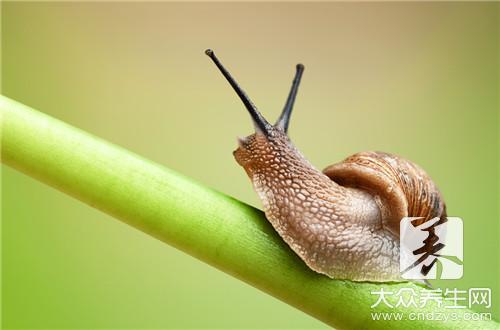 芝士焗蜗牛做法的做法是什么