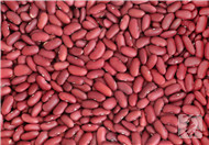 紅芸豆的功效與禁忌有哪些呢？