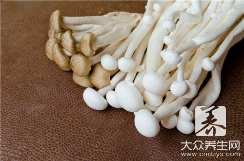 蘑菇长了一层白毛还能吃吗
