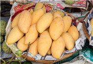 芒果價格多少錢一斤