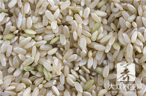 糙米怎么吃减肥最好