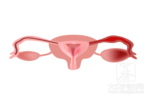 卵巢冠囊肿是怎么回事