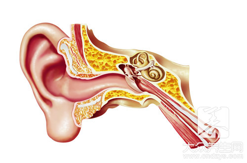 耳硬化症的最佳治疗