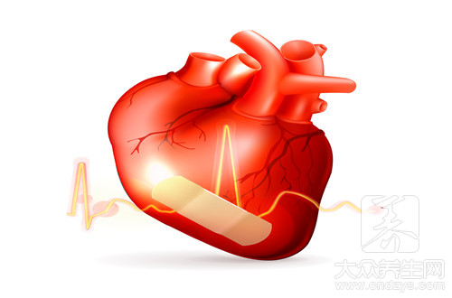 心脏在身体的哪个部位？