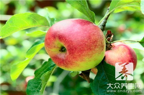 哺乳期能吃什么水果 9种水果吃出健康